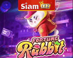 qual melhor horário para ganhar no fortune rabbit ícone